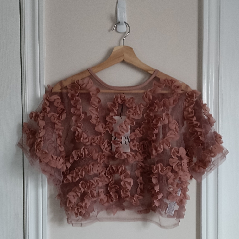 Pink Floral Appliqué Sheer Top
